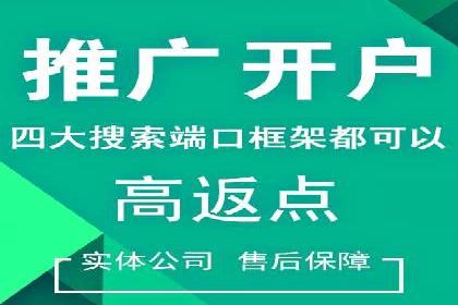 SEM竞价托管：精准定位案例解析
